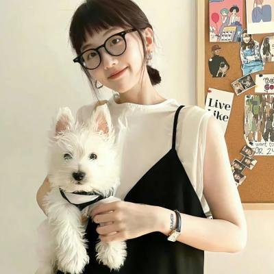 少年泰坦出击第七季